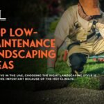 Top Low-Maintenance Landscaping Ideas