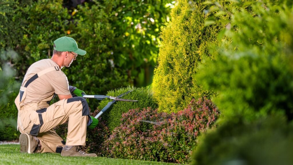 Garden Care Tips uae